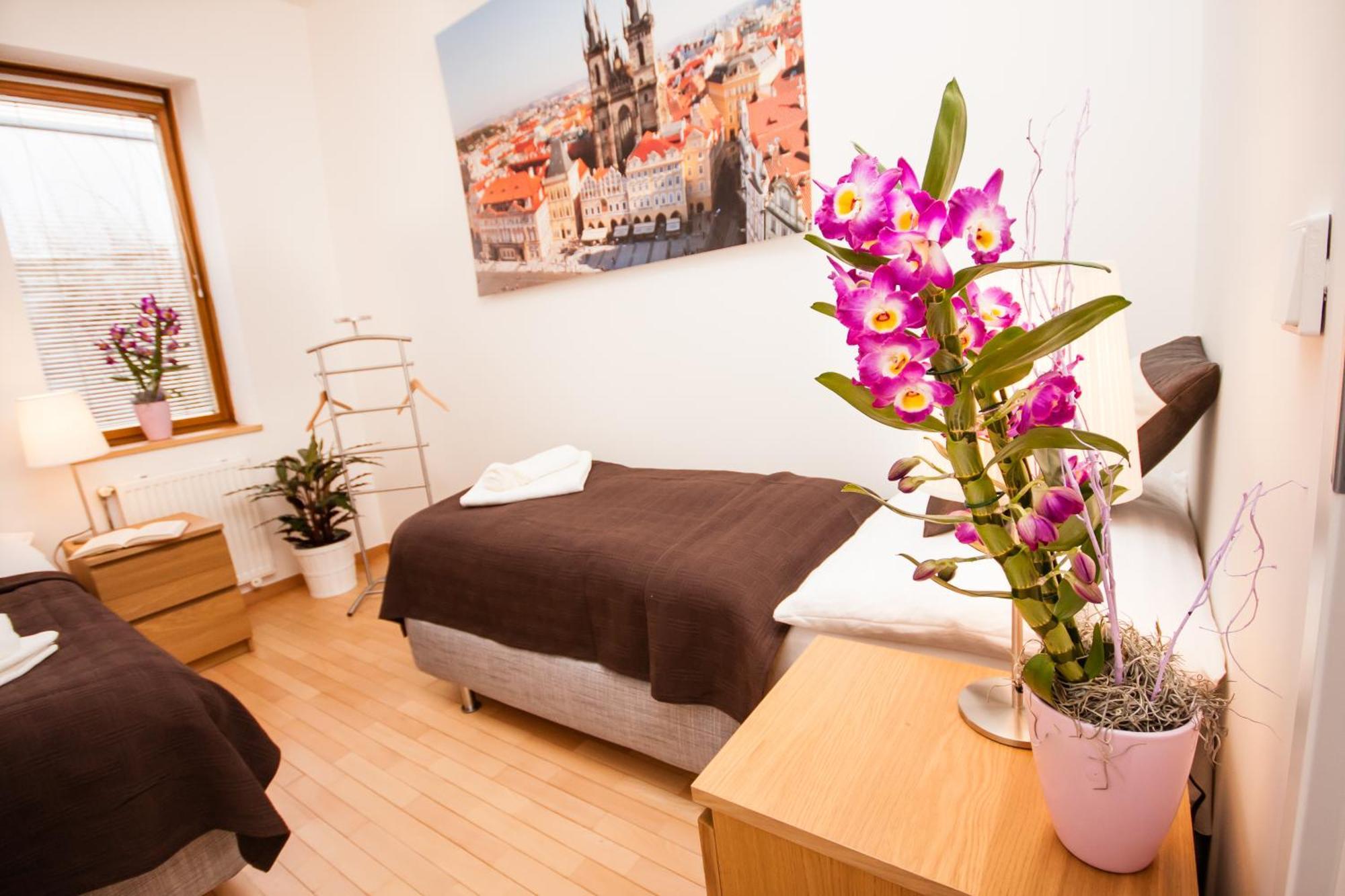 Wenceslas Square Lofts Praga Habitación foto